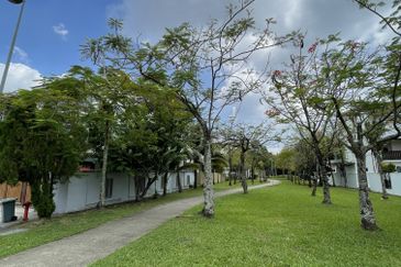 Lake Fields - Meadows and Glades