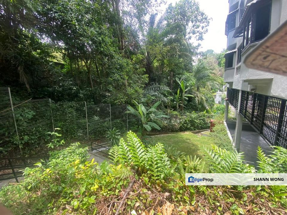 Pet Friendly Gem at Belvedere, Bukit Tunku and  Direct Acess to Pool, Kuala Lumpur, Kenny Hills (Bukit Tunku)