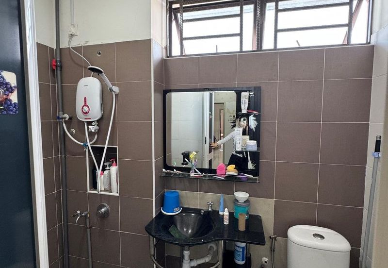 Maple Red, Adda Heights