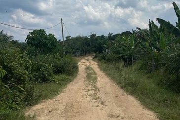 Palm Land at Jerantut Pahang for Sale.   200 Meter away fron Tar road. with Tap water supply.