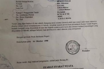 Palm Land at Jerantut Pahang for Sale.   200 Meter away fron Tar road. with Tap water supply.