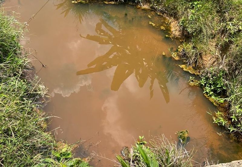 Palm Land at Jerantut Pahang for Sale.   200 Meter away fron Tar road. with Tap water supply.