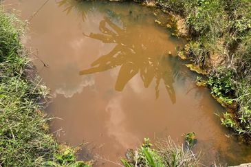 Palm Land at Jerantut Pahang for Sale.   200 Meter away fron Tar road. with Tap water supply.