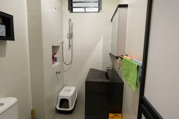 Maple Red, Adda Heights