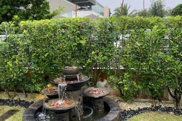 Maple Red, Adda Heights