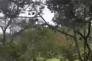 Agriculture Land @ Mukim Mersing Jemeluang Mersing Johor For Sale