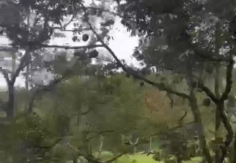 Agriculture Land @ Mukim Mersing Jemeluang Mersing Johor For Sale