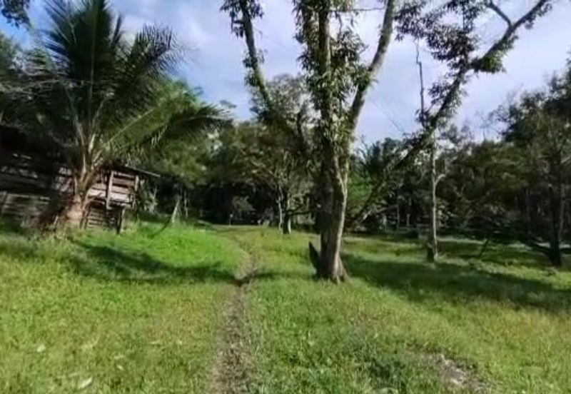 Agriculture Land @ Mukim Mersing Jemeluang Mersing Johor For Sale
