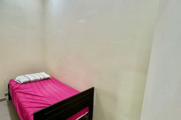 Featherstone @Eco Botanic