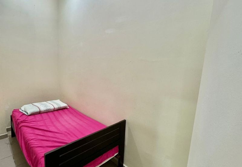 Featherstone @Eco Botanic