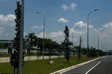 Crest @ Austin Emerald 1