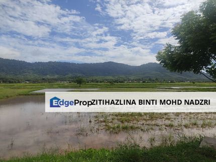 Tanah Bendang(Paddy Field) Di Langkawi, Kedah, Langkawi