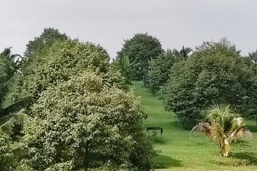 Ulu Tiram, Ban Foo, Johor Bahru, Johor 