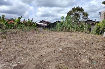 Oil Palm Land @ Labis