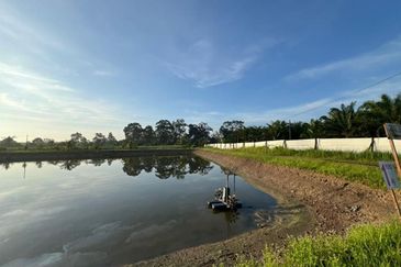 Pekan Nanas Jalan Sungai Burung 