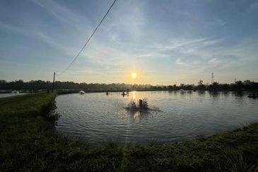 Pekan Nanas Jalan Sungai Burung 