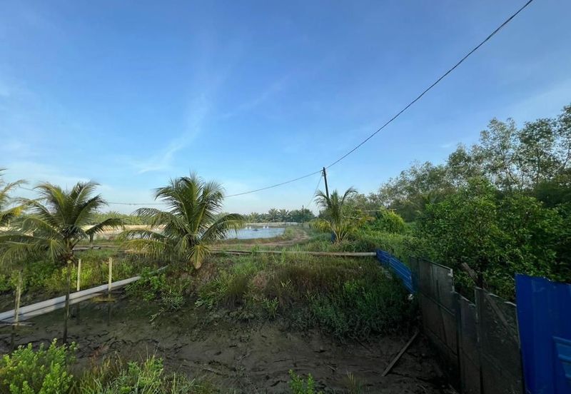 Pekan Nanas Jalan Sungai Burung 