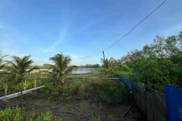 Pekan Nanas Jalan Sungai Burung 