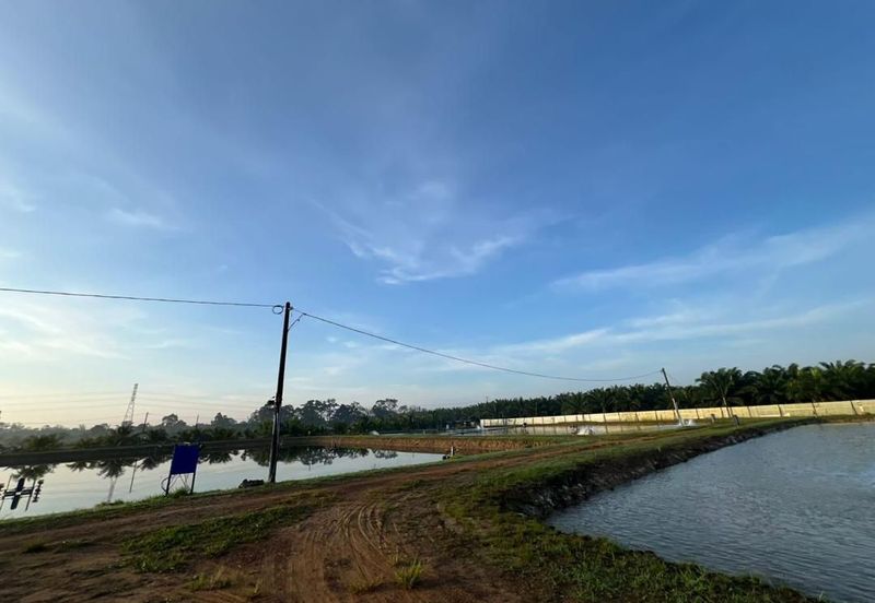 Pekan Nanas Jalan Sungai Burung 