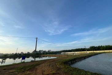 Pekan Nanas Jalan Sungai Burung 