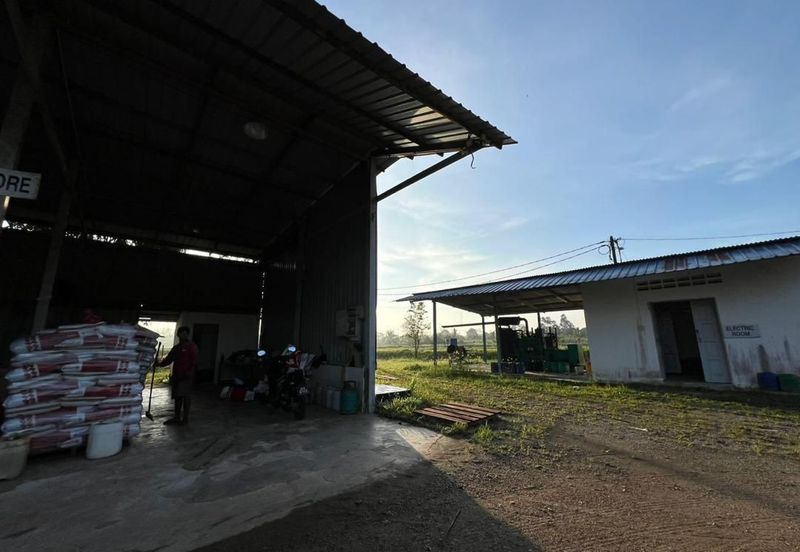 Pekan Nanas Jalan Sungai Burung 