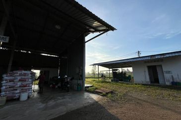 Pekan Nanas Jalan Sungai Burung 