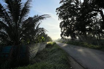 Pekan Nanas Jalan Sungai Burung 