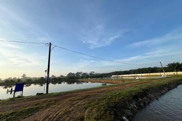 Pekan Nanas Jalan Sungai Burung 