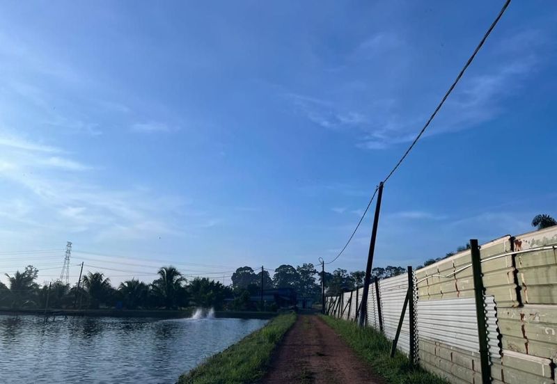 Pekan Nanas Jalan Sungai Burung 