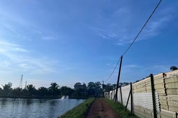 Pekan Nanas Jalan Sungai Burung 