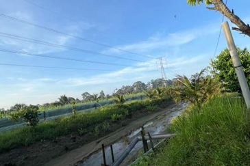 Pekan Nanas Jalan Sungai Burung 