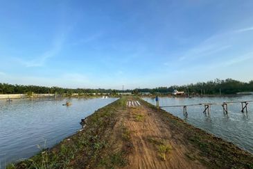 Pekan Nanas Jalan Sungai Burung 