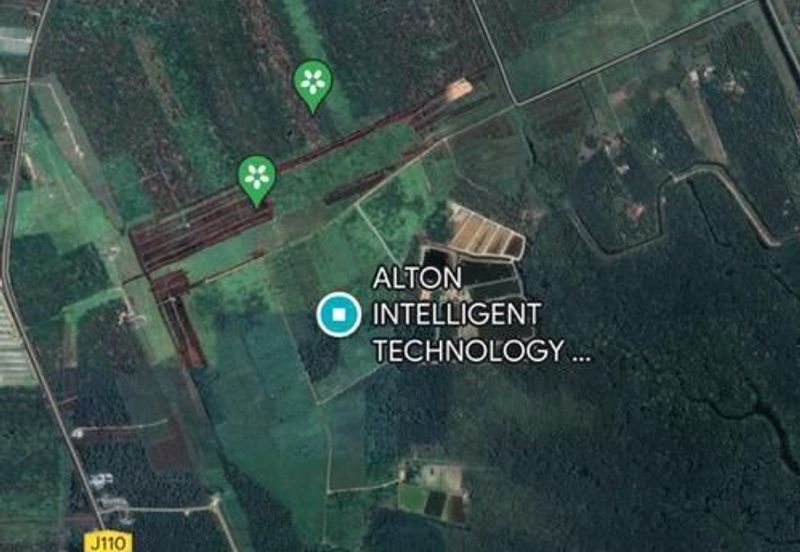 Pekan Nanas Jalan Sungai Burung 