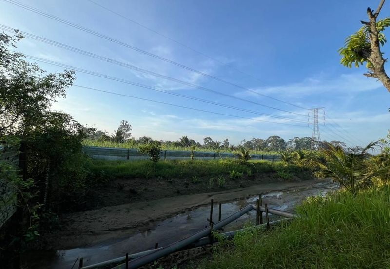 Pekan Nanas Jalan Sungai Burung 