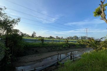 Pekan Nanas Jalan Sungai Burung 