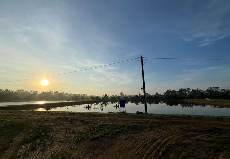 Pekan Nanas Jalan Sungai Burung 