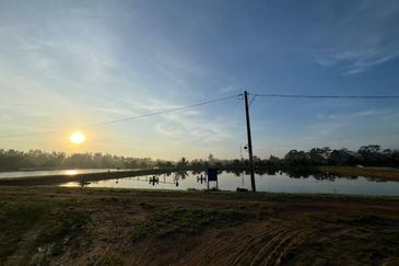 Pekan Nanas Jalan Sungai Burung 