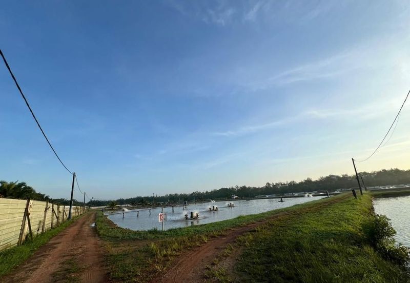 Pekan Nanas Jalan Sungai Burung 