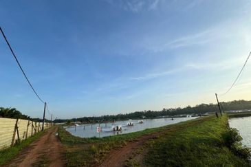 Pekan Nanas Jalan Sungai Burung 