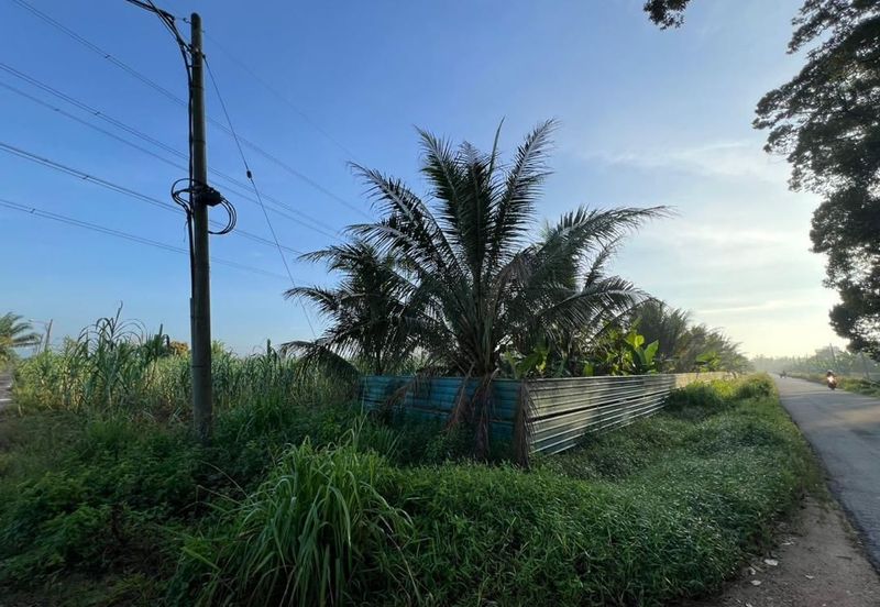Pekan Nanas Jalan Sungai Burung 