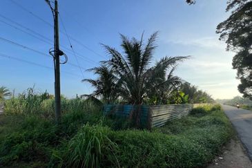Pekan Nanas Jalan Sungai Burung 