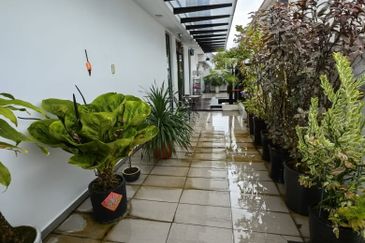 Caranday Park @ Setia Tropika