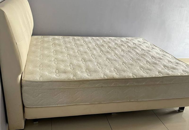 Midori Green @ Austin Heights