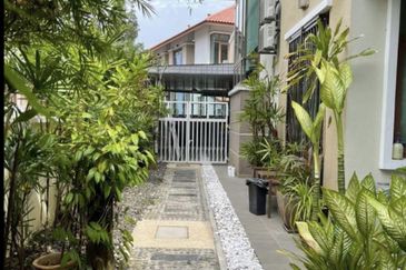 FLORA TROPIKA (THE THOMPSON)