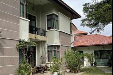 FLORA TROPIKA (THE THOMPSON)