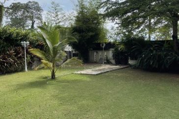 FLORA TROPIKA (THE THOMPSON)