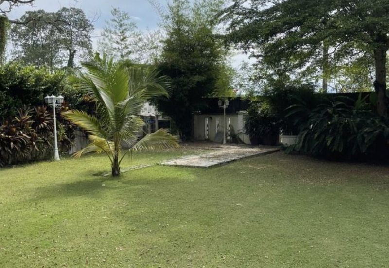 FLORA TROPIKA (THE THOMPSON)