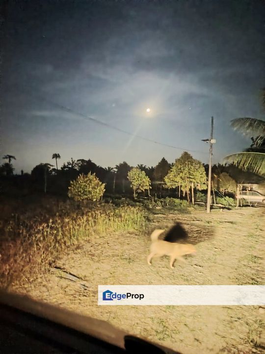 Port Dickson, Negeri Sembilan, Port Dickson