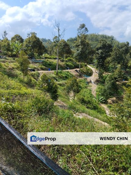 Titi Durian Farm, Negeri Sembilan, Jelebu