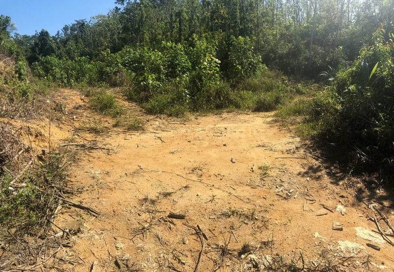 [6 EKAR] Tanah Pertanian Kampung Bukit Sikoh Tanah Merah Kelantan Untuk Dijual